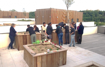 Résidence Oh Saint-Rambert : Les plantations sont réalisées dans les jardins partagés !